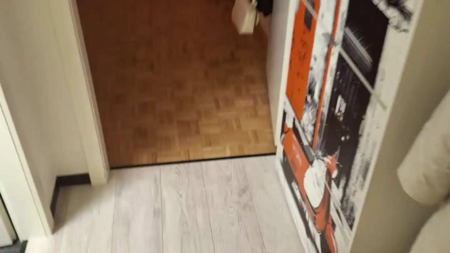 Apartment for rent - Baslerstrasse 46, 4102 Binningen - Photo 2