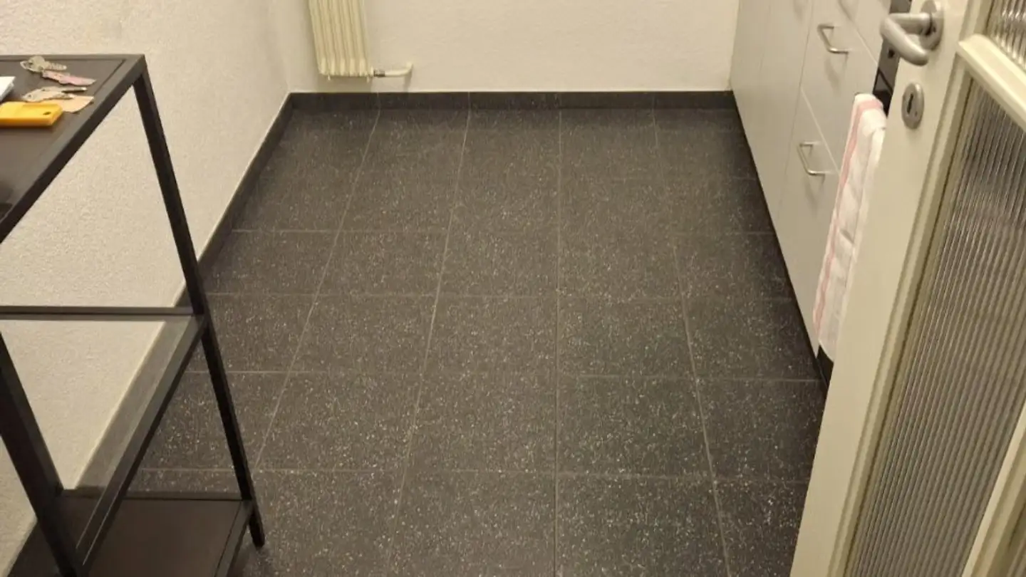 Apartment for rent - Baslerstrasse 46, 4102 Binningen - Photo 3