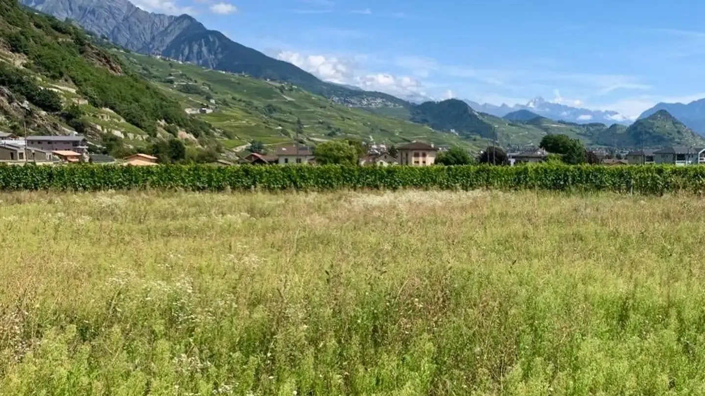 Terreno edificabile in vendita - Route Cantonale 288, 1963 Vétroz