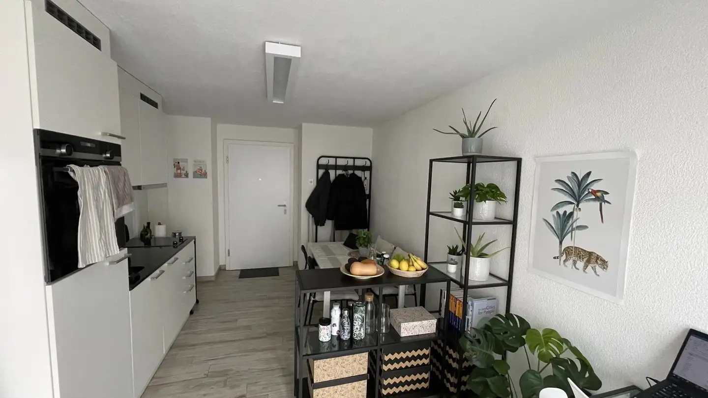 Apartment for rent - Uetlibergstrasse 78, 8045 Zürich - Photo 2