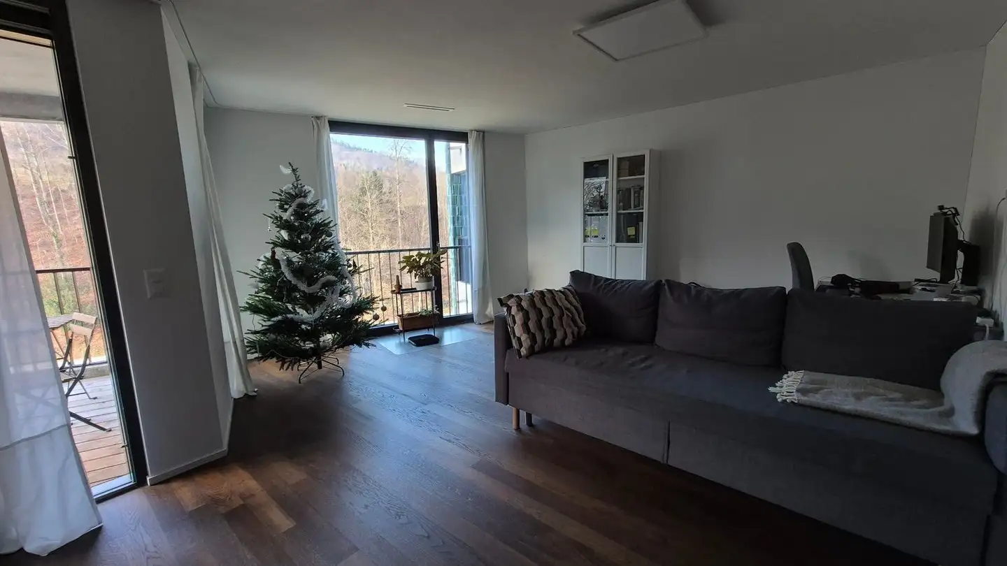 Appartamento in affitto - Spindelstrasse 14, 8041 Zürich - Foto 3