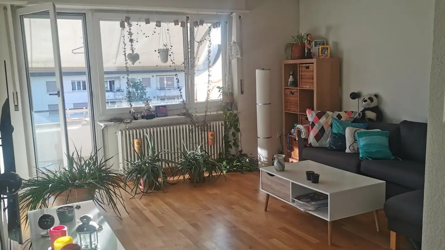 Appartement à louer - 8640 Rapperswil SG