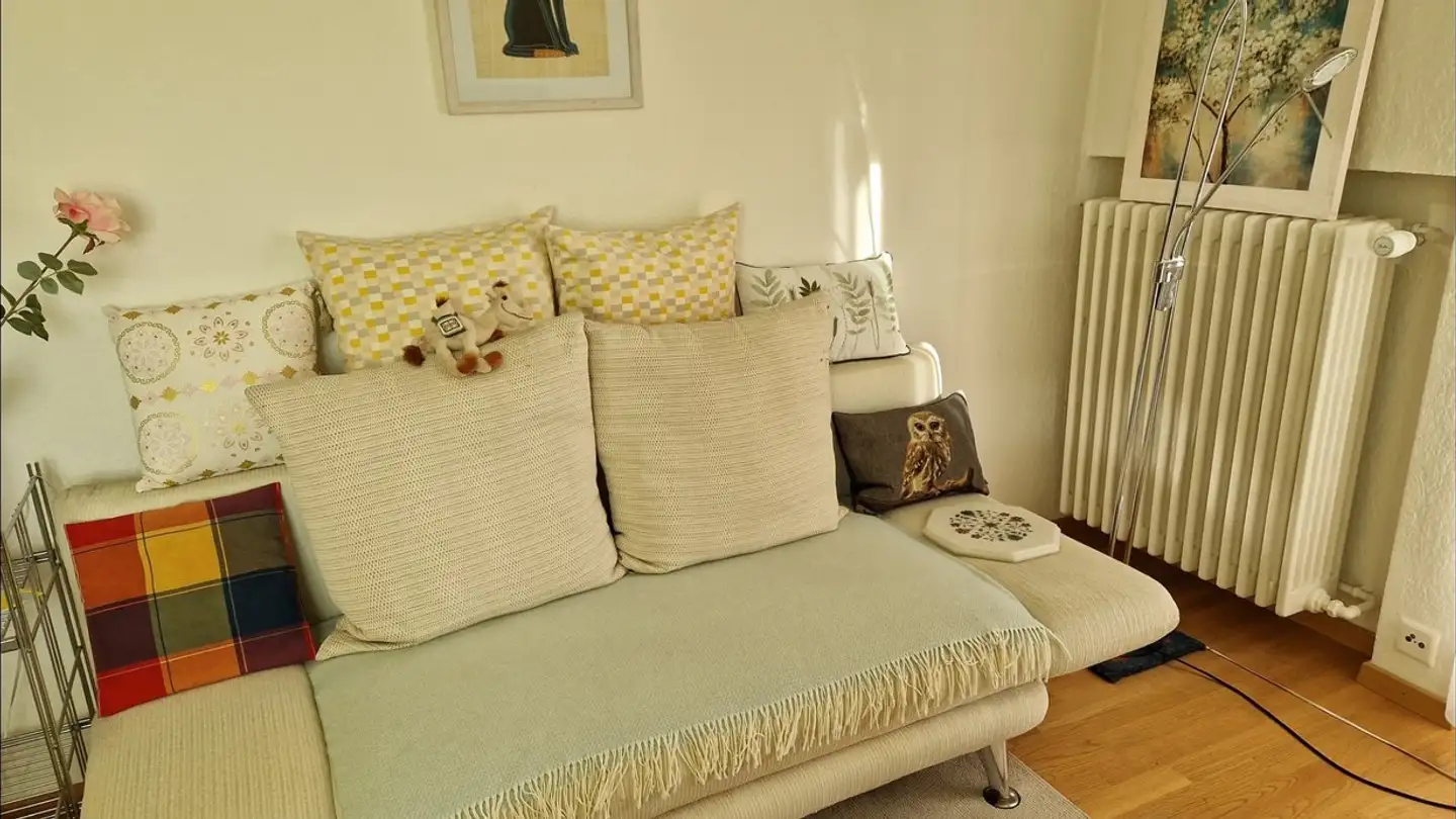 Furnished apartment for rent - 8902 Urdorf