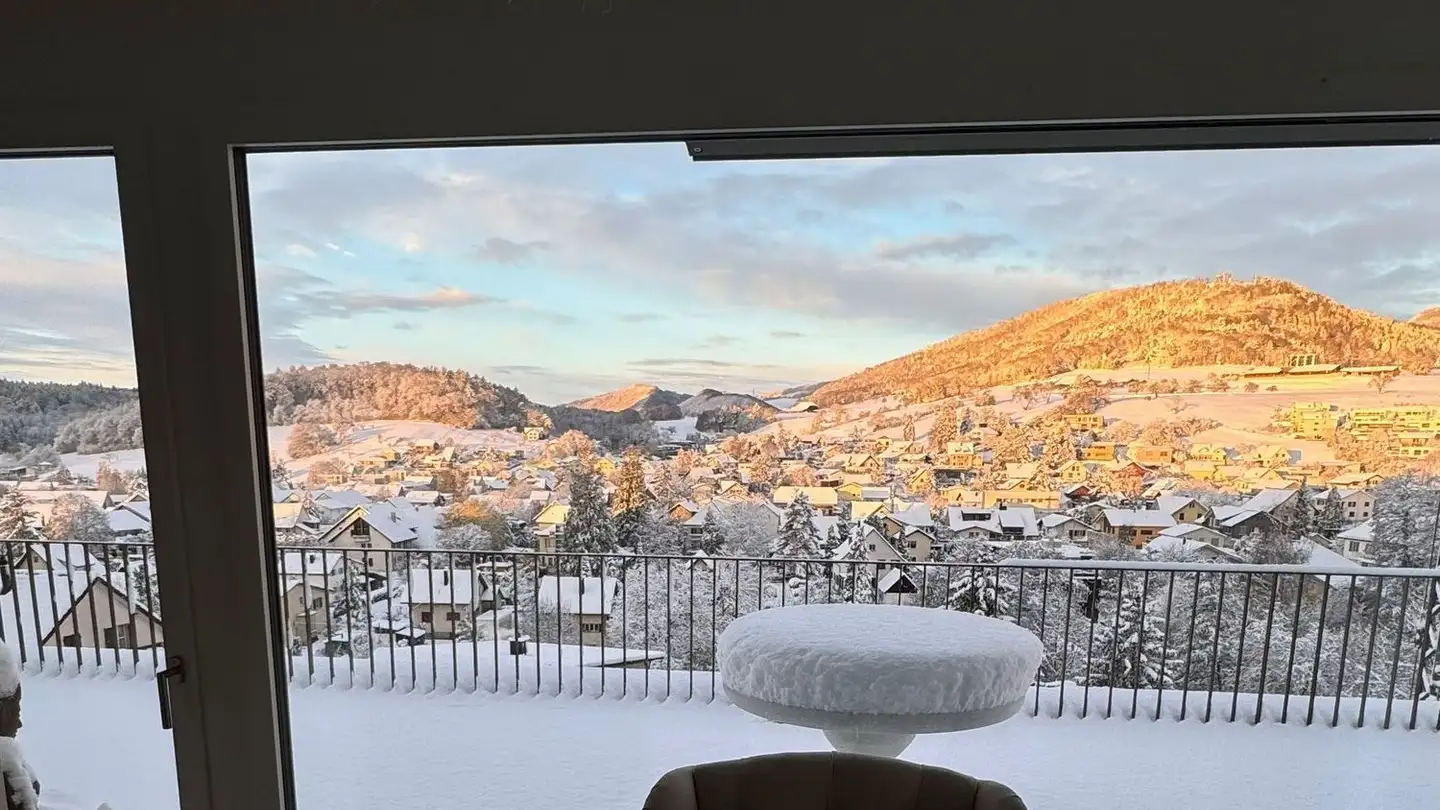 Penthouse kaufen - Brühlstrasse 73, 5018 Erlinsbach - Foto 4