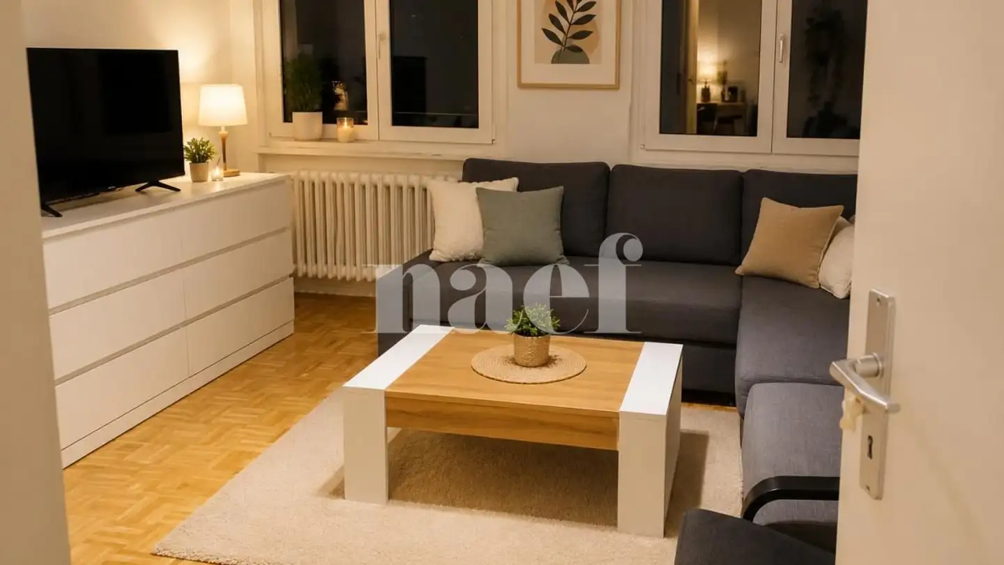 Appartamento in affitto - Rue De La Gare 38, 1260 Nyon