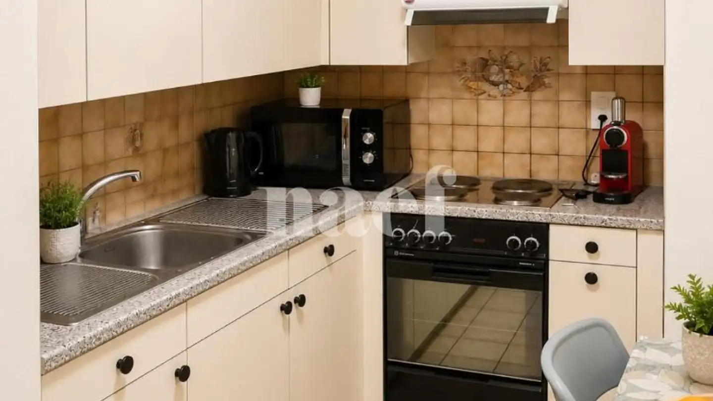 Appartamento in affitto - Rue De La Gare 38, 1260 Nyon - Foto 2