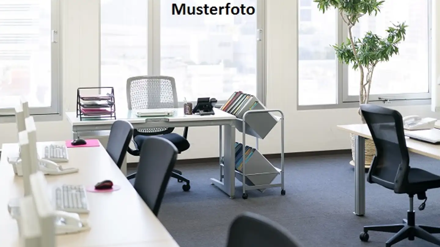 Office space for sale - La Lüvèira, 6673 Maggia