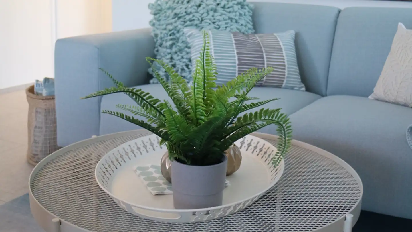 Möblierte Wohnung mieten - Zuchwilerstrasse 41, 4500 Solothurn - Foto 4