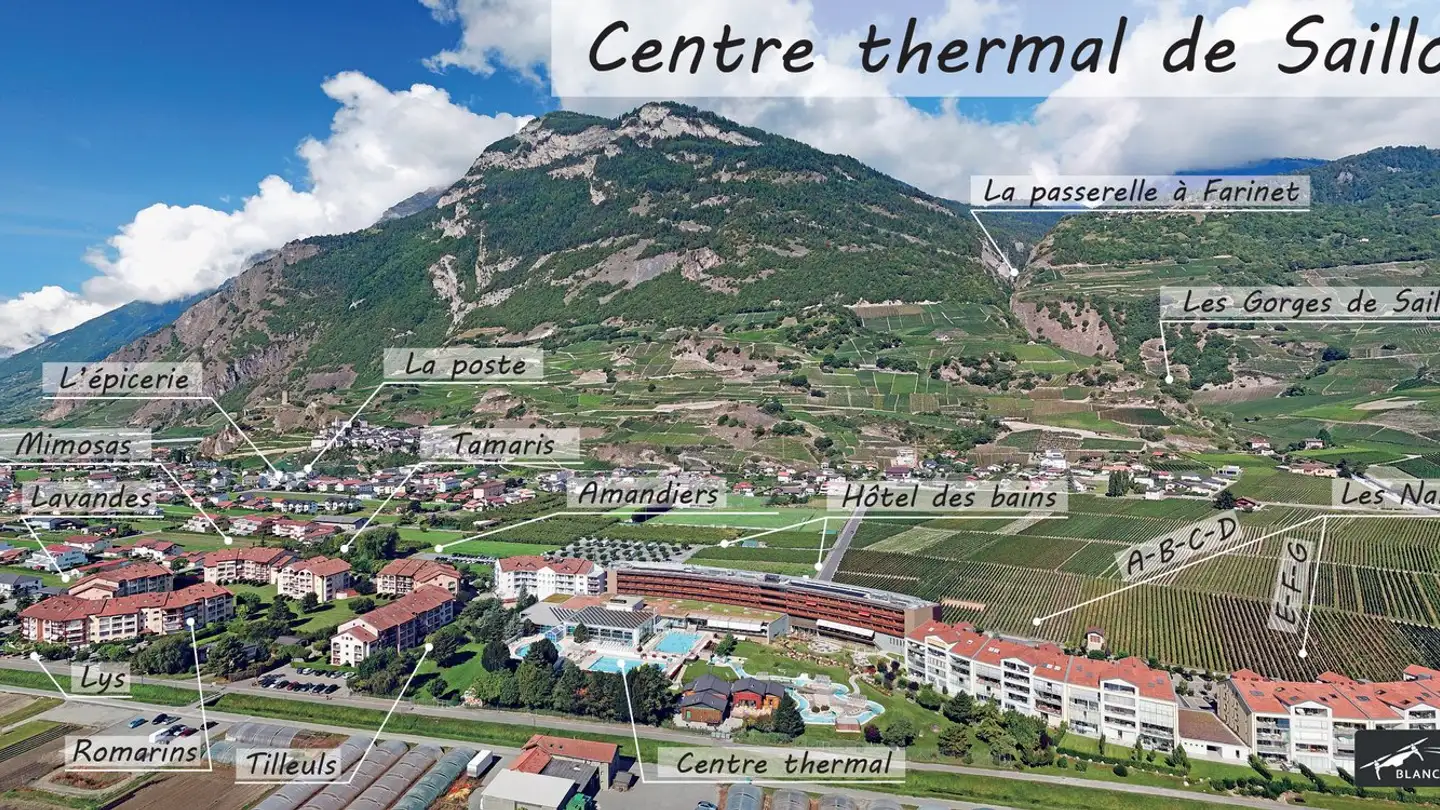 Möblierte Wohnung kaufen - Route De Lydésoz 13, 1913 Saillon - Foto 2