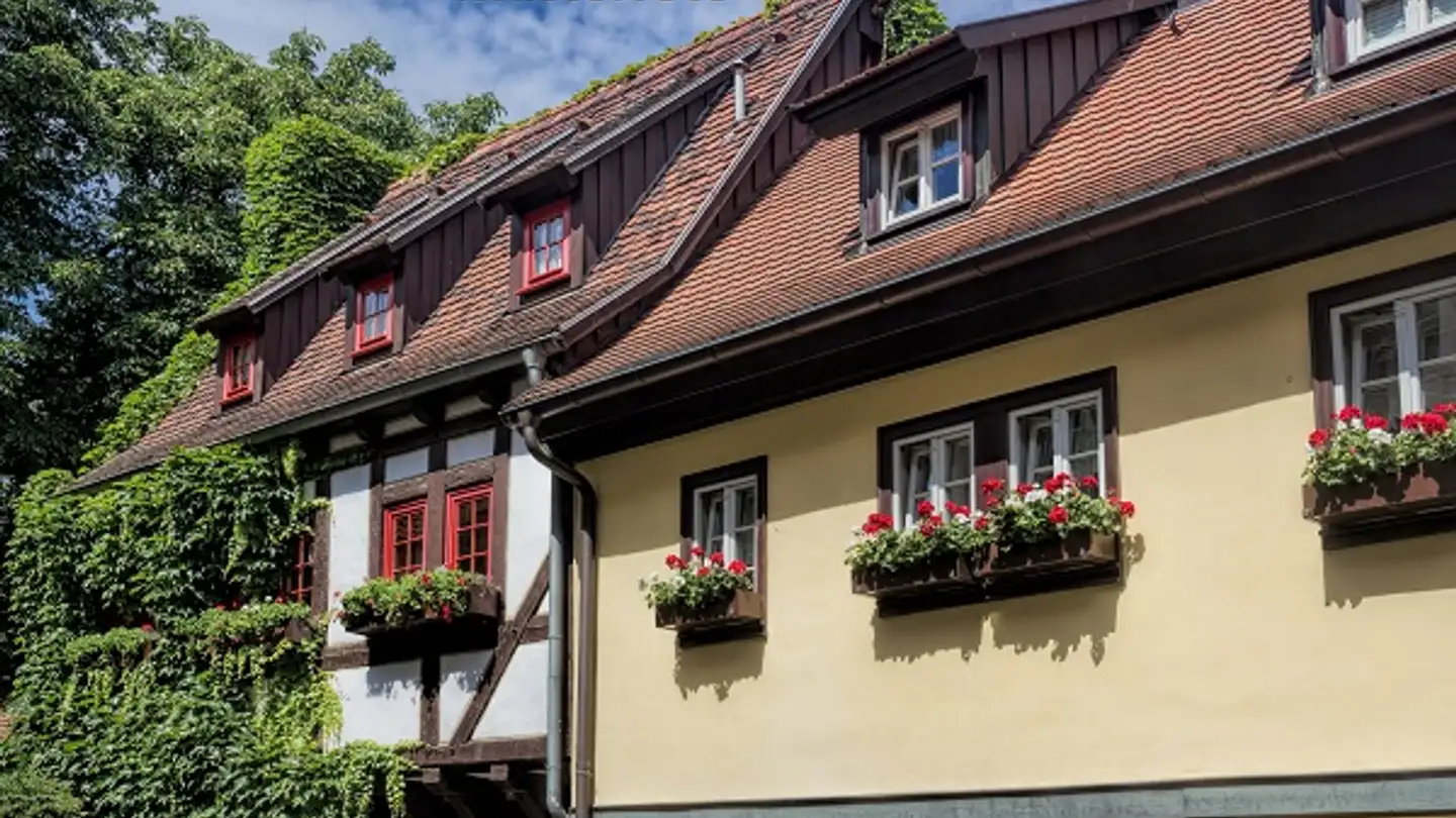 Mischgenutztes Gebäude kaufen - Via Centovalli, 6655 Verdasio