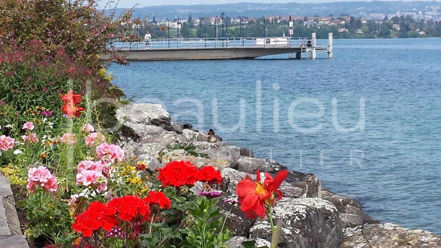 Furnished apartment for rent - 1110 Morges - Photo 4