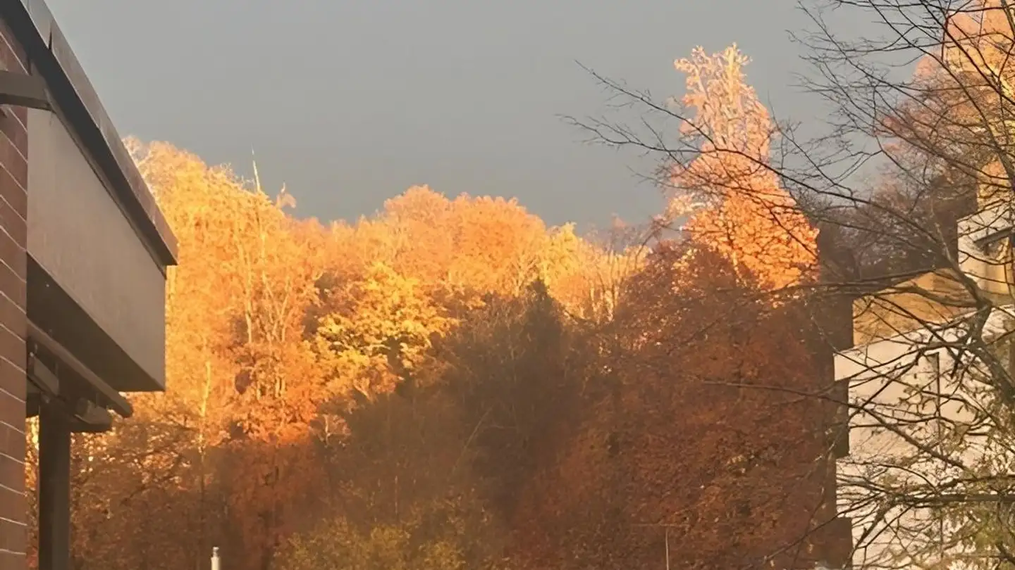 Appartamento in affitto - Balgriststrasse 60, 8008 Zürich