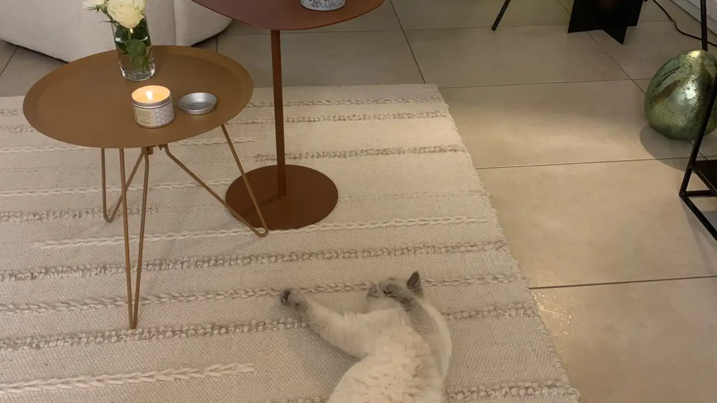 Appartement à louer - Rue Des Frères-Lumière, 1723 Marly