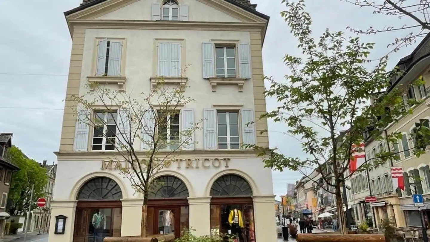 Appartement à louer - Rue Louis De Savoie, 1110 Morges