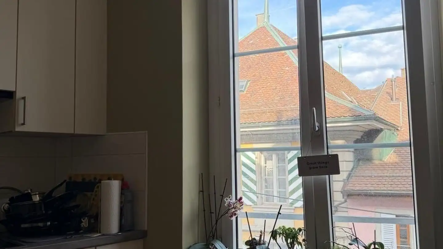 Appartement à louer - Rue Louis De Savoie, 1110 Morges - Photo 4