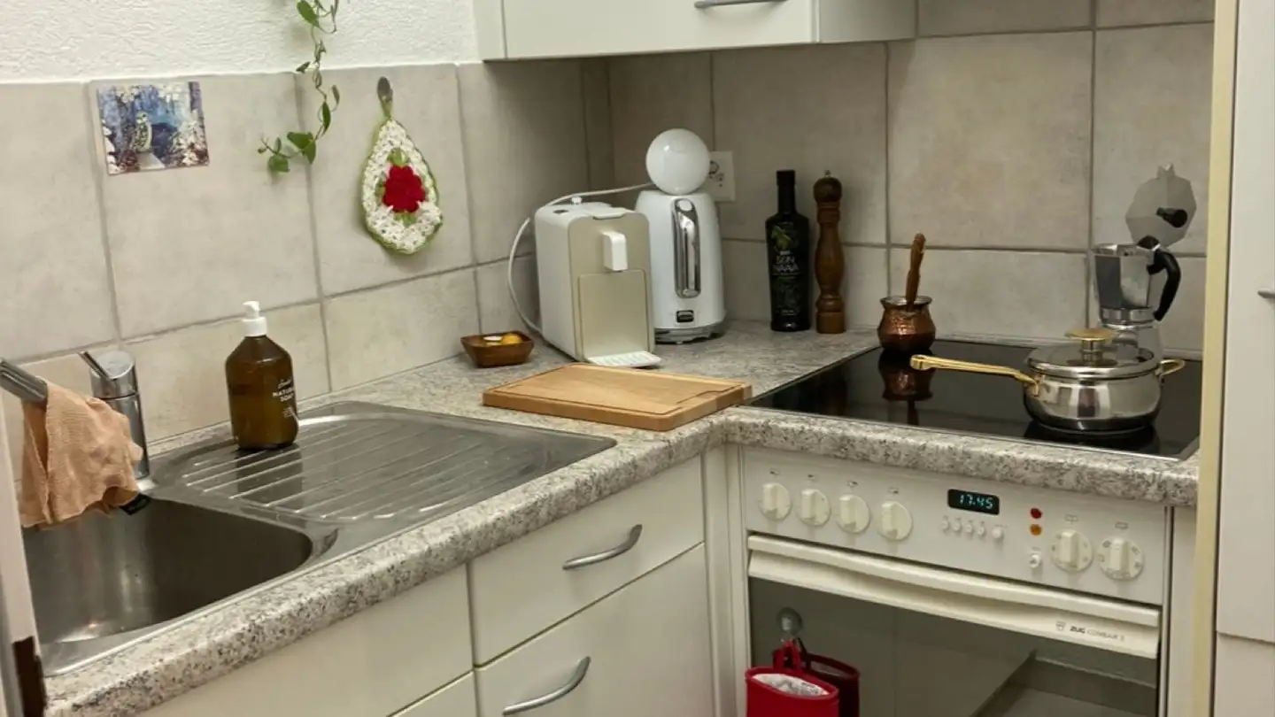 Appartamento in affitto - 8805 Richterswil - Foto 2