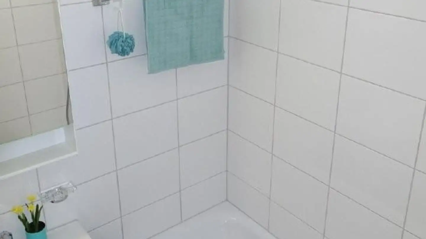 Wohnung mieten - Luzernerstrasse 29, 6030 Ebikon - Foto 2