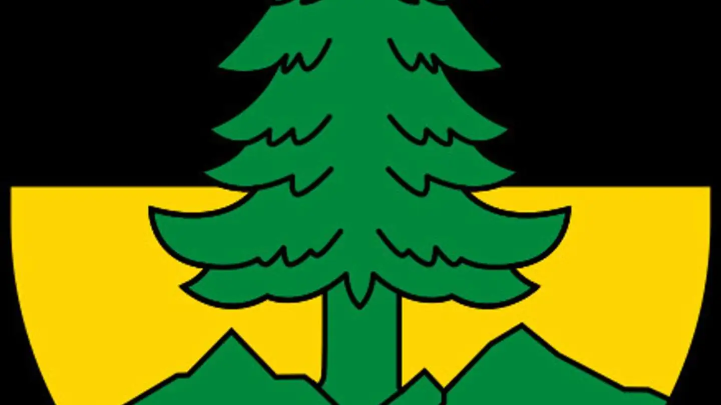 Terrain constructible à vendre - 1854 Leysin - Photo 3