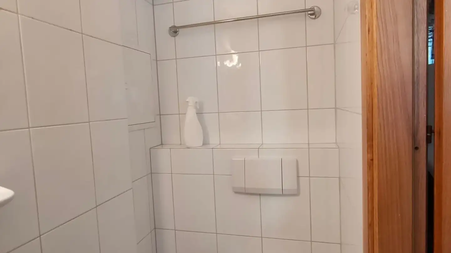 Commercial à louer - Zürichstrasse 20, 8134 Adliswil - Photo 3