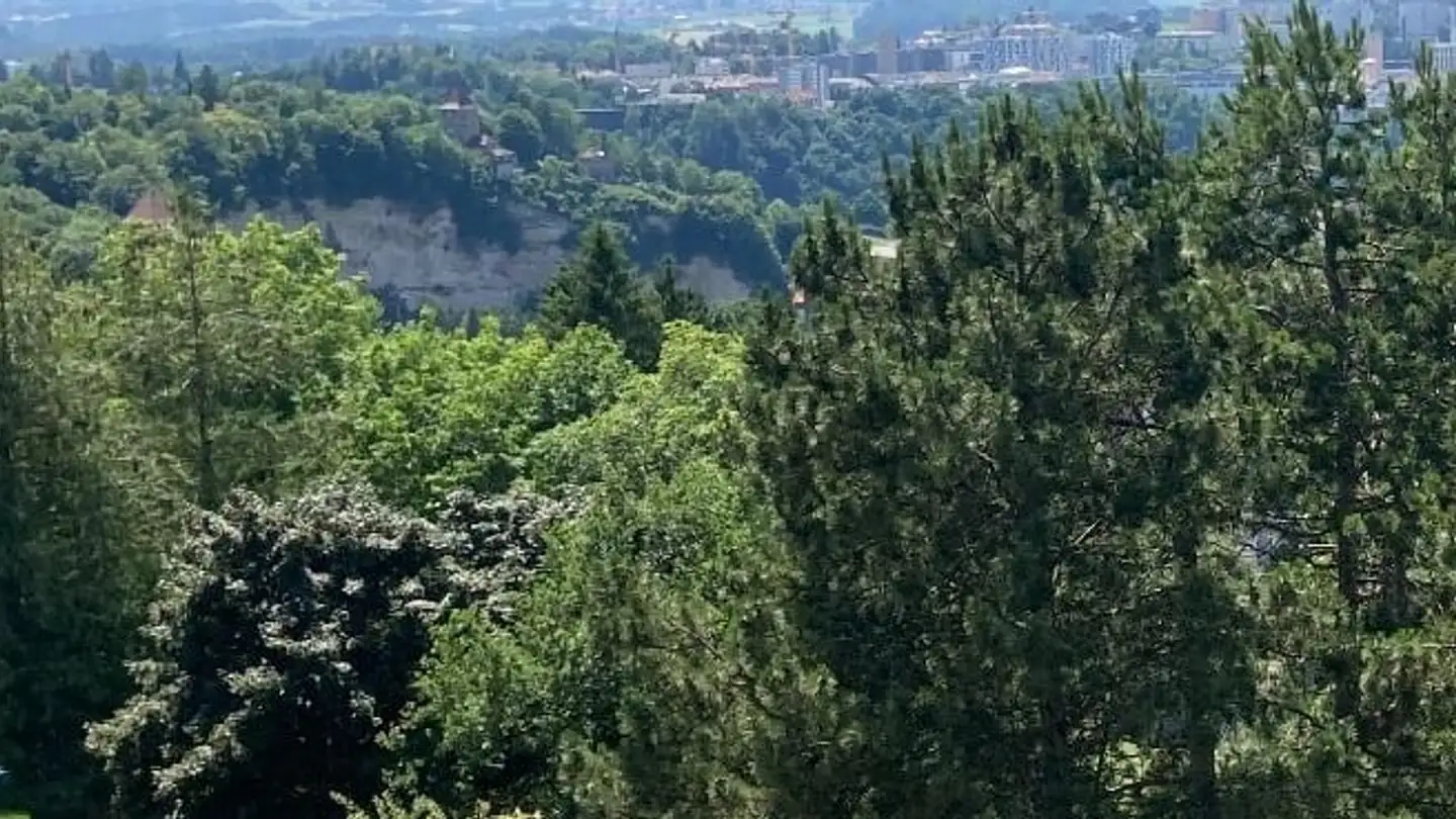 Wohnung mieten - Route De Monseigneur-Besson 4, 1700 Fribourg - Foto 2