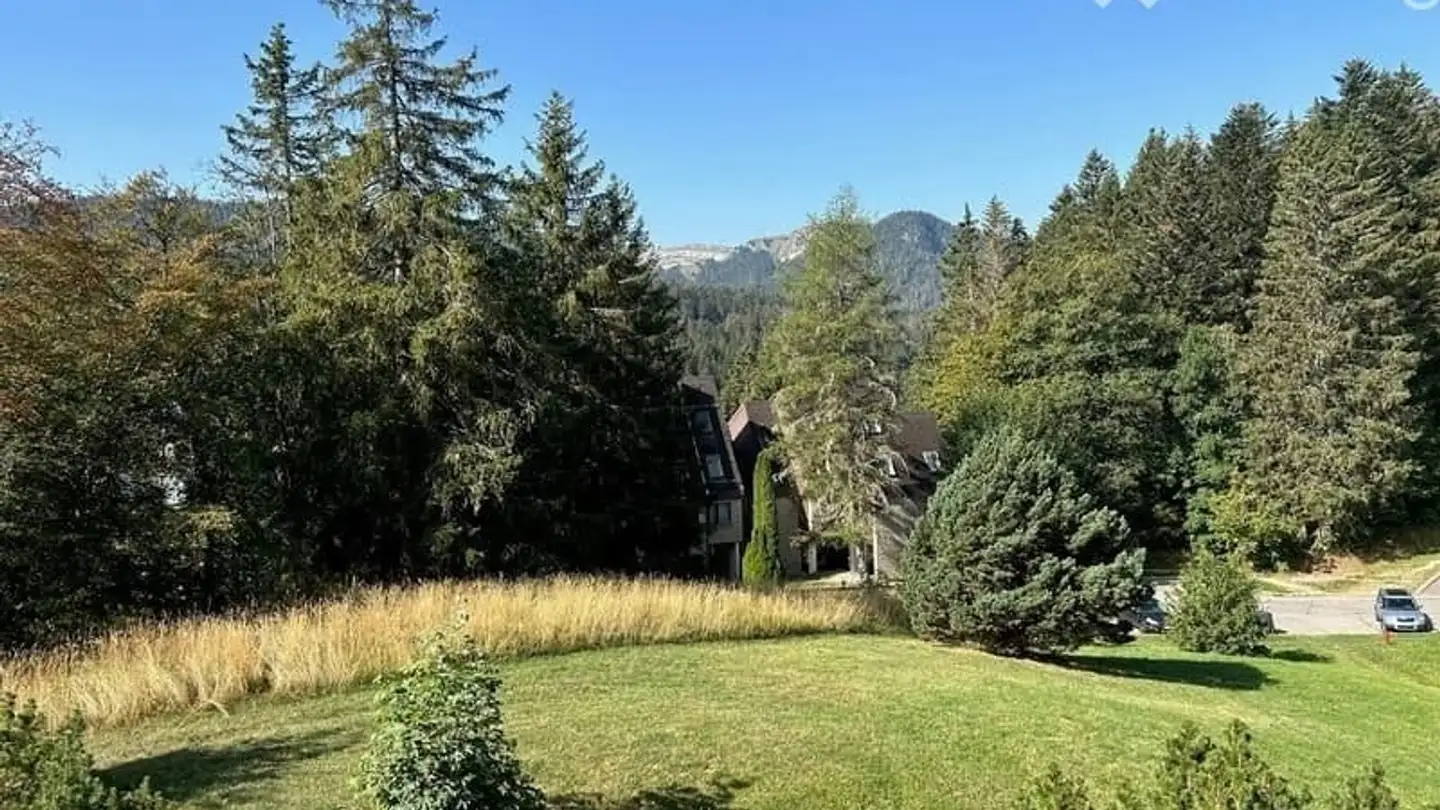 Appartement à louer - Route Des Cheseaux-Dessus e1, 1264 St-Cergue - Photo 2