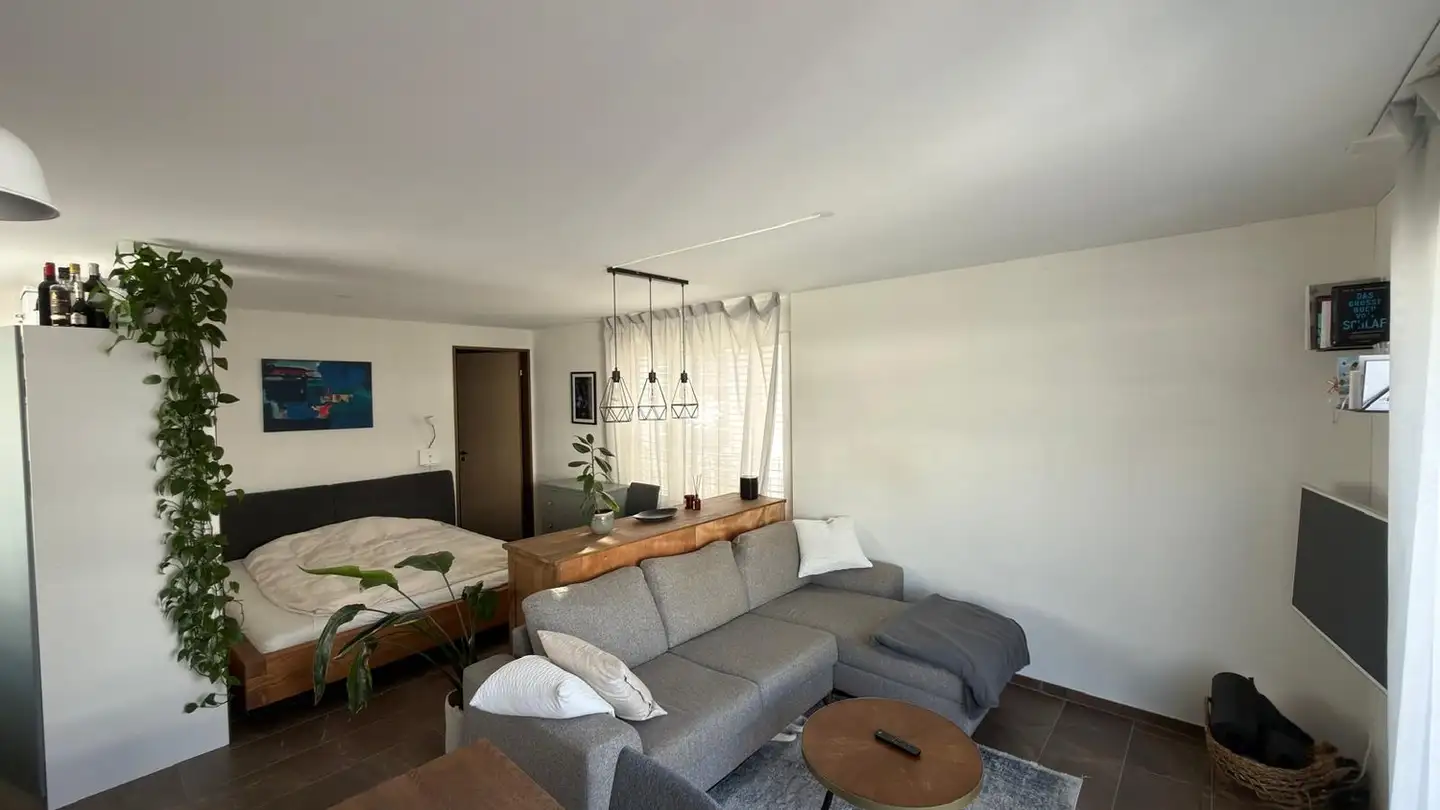 Furnished apartment for rent - Badenerstrasse 136, 8004 Zürich