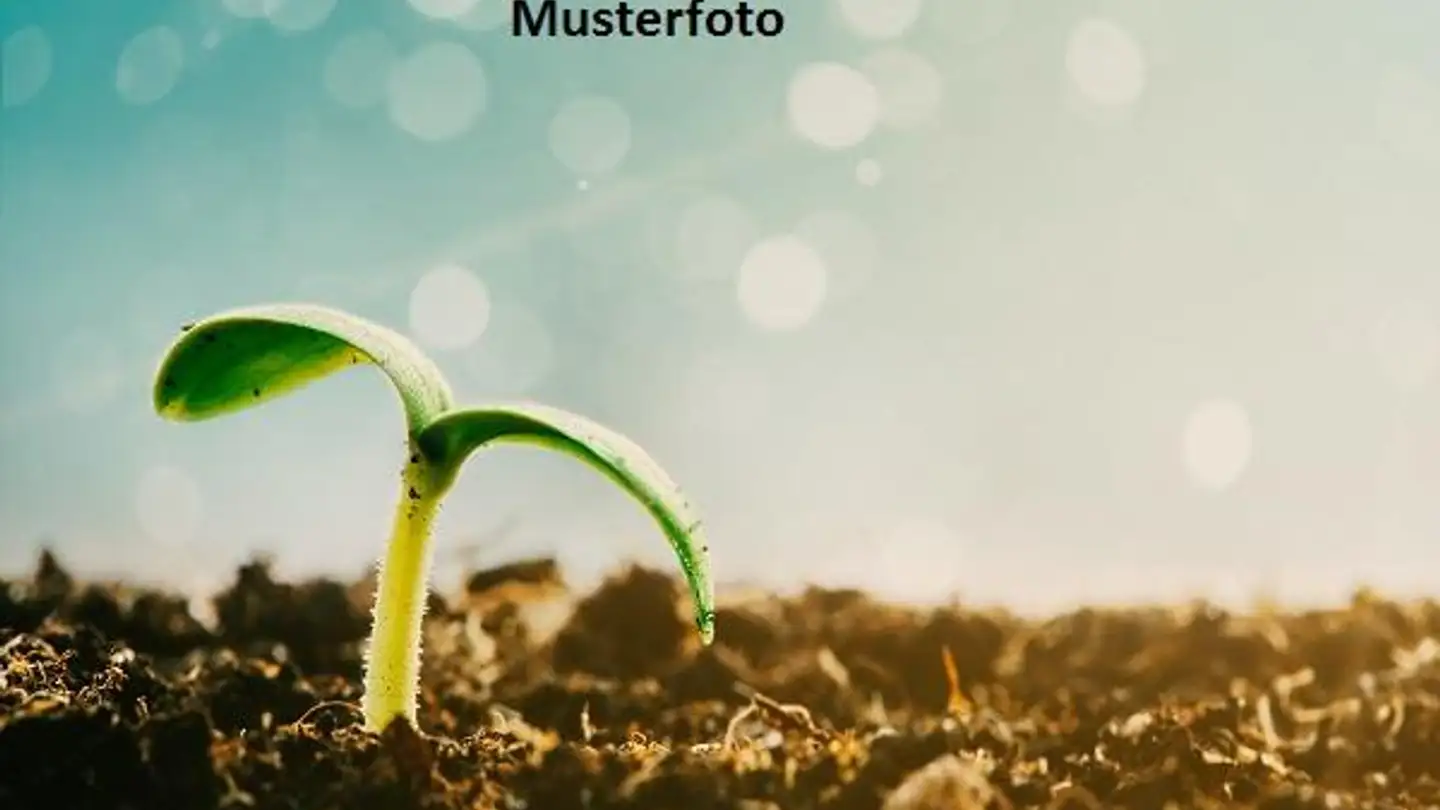 Bien immobilier à vendre - Chemin De Chalamont, 1434 Ependes VD