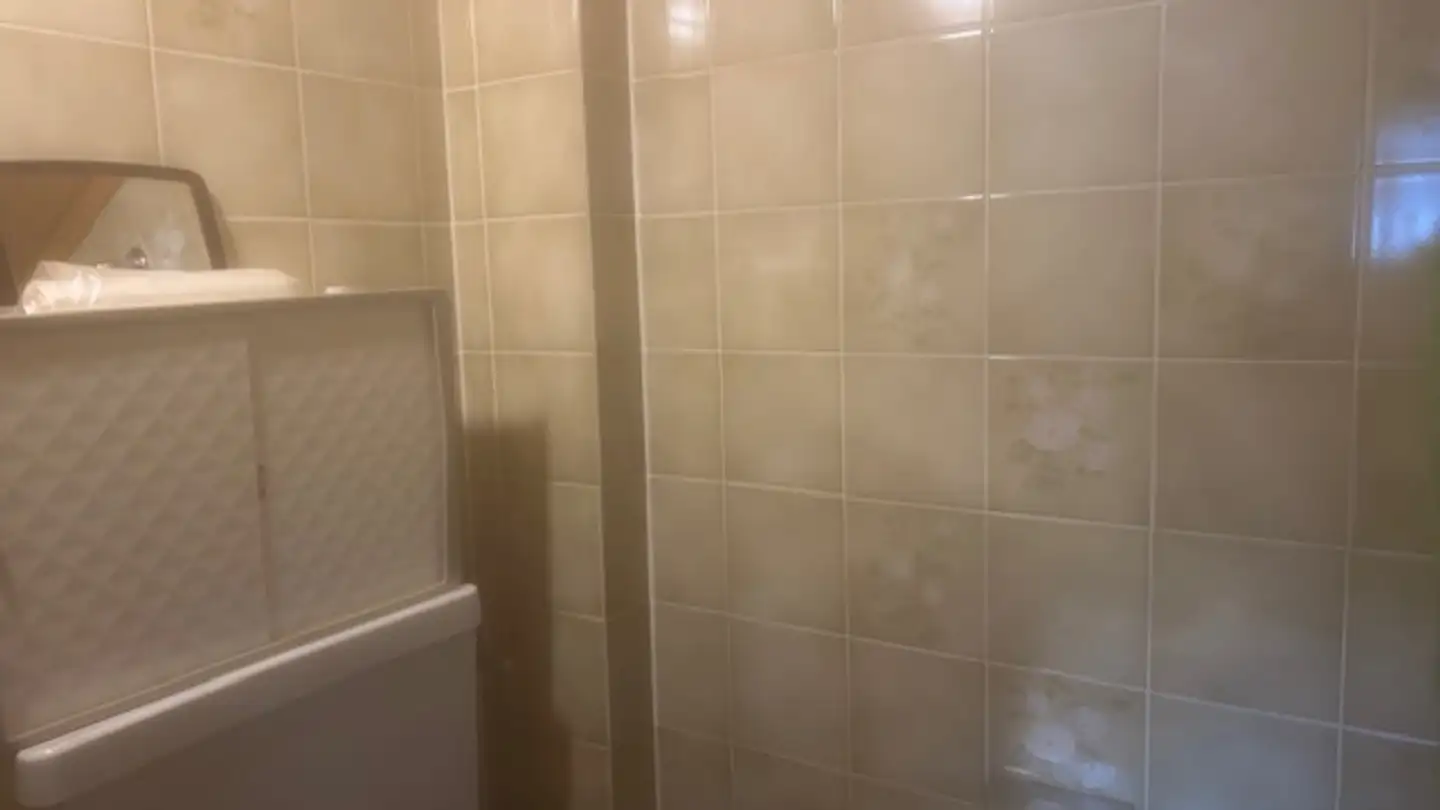 Studio à louer - Route Du Pillon 185, 1865 Les Diablerets - Photo 3