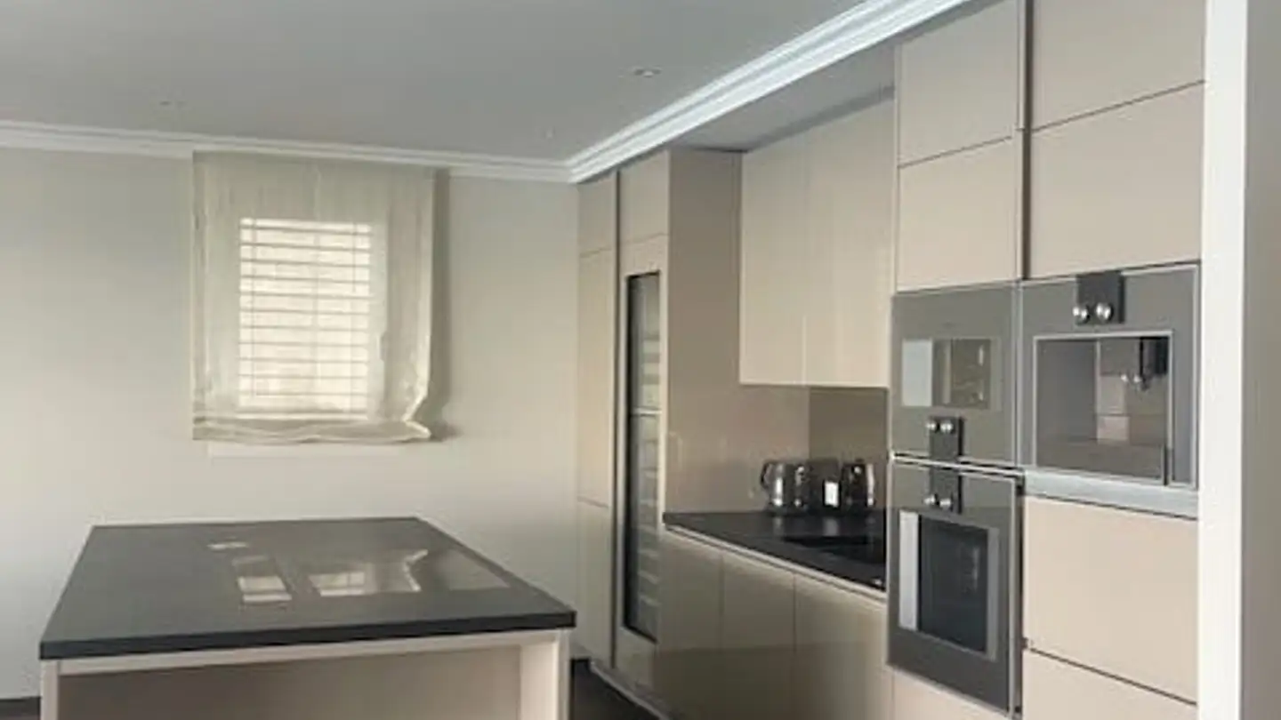 Appartement en terrasse à louer - Via Guidino, 6900 Paradiso - Photo 4