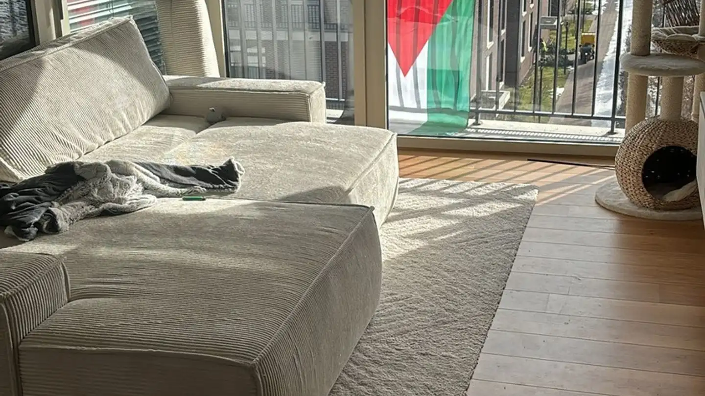 Furnished apartment for rent - 8810 Horgen