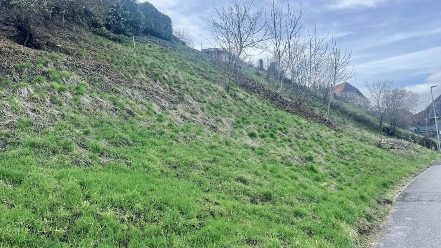 Terrain constructible à vendre - Seestrasse, 2576 Lüscherz - Photo 4