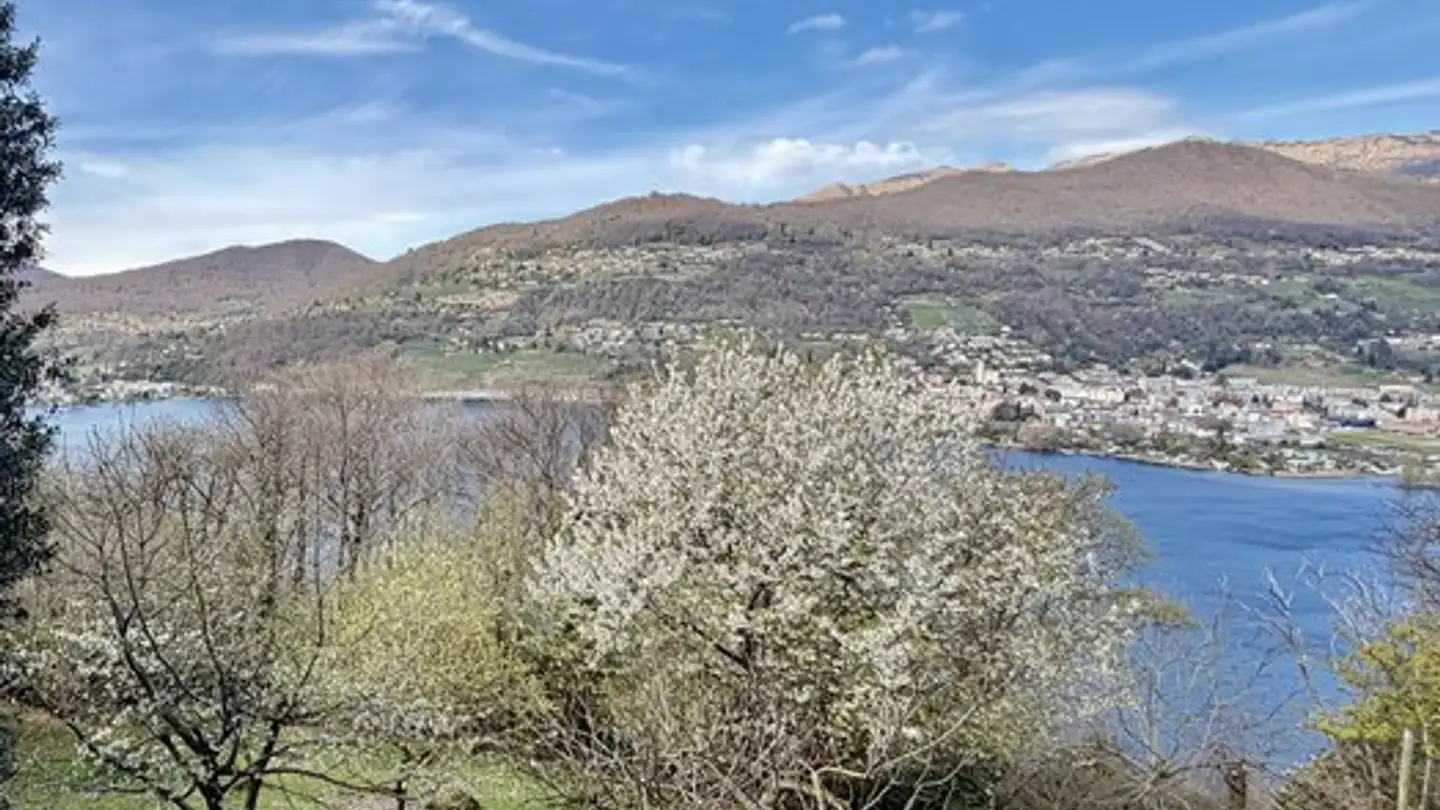 Villa for sale - Via Nagra 26, 6926 Montagnola - Photo 4