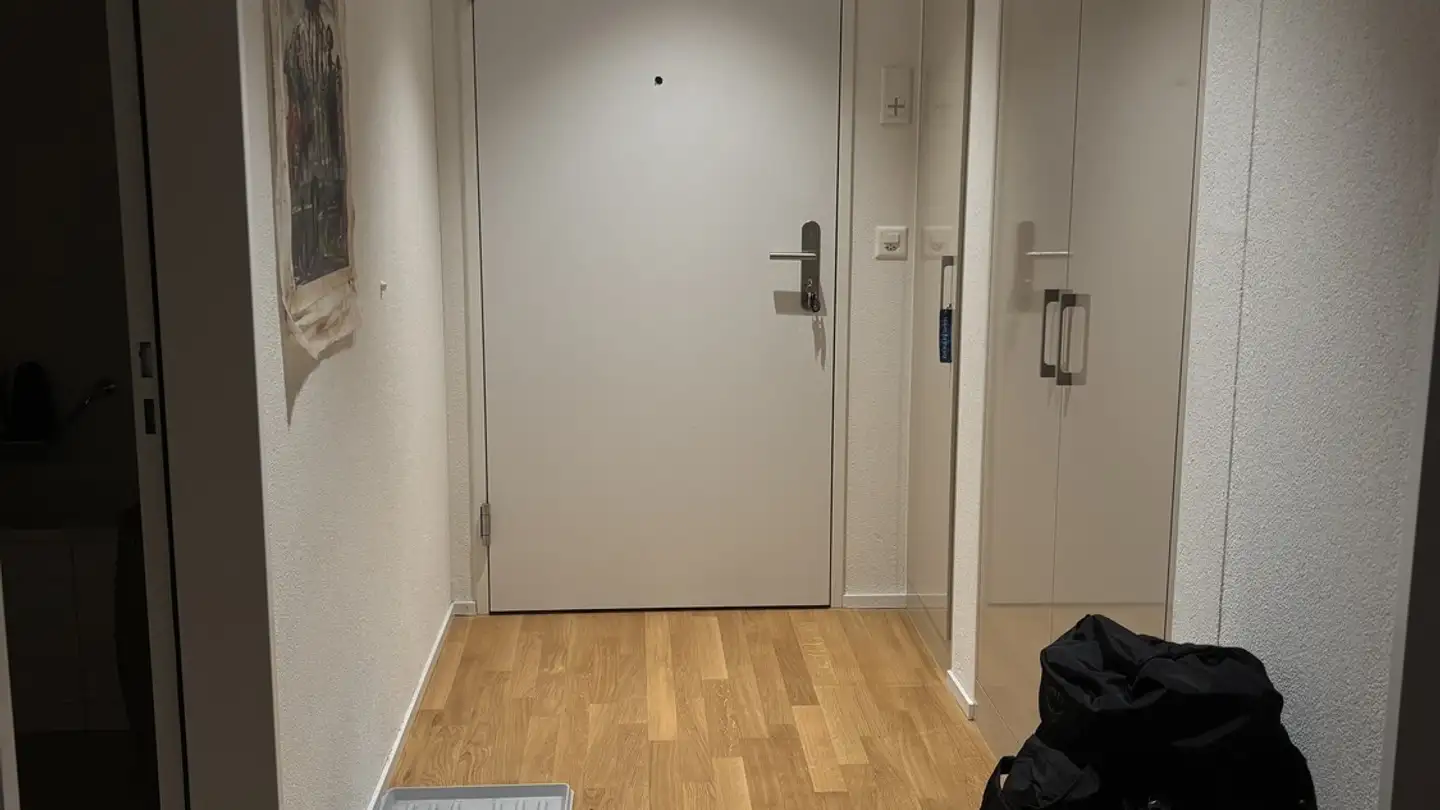 Furnished apartment for rent - 6045 Meggen - Photo 4