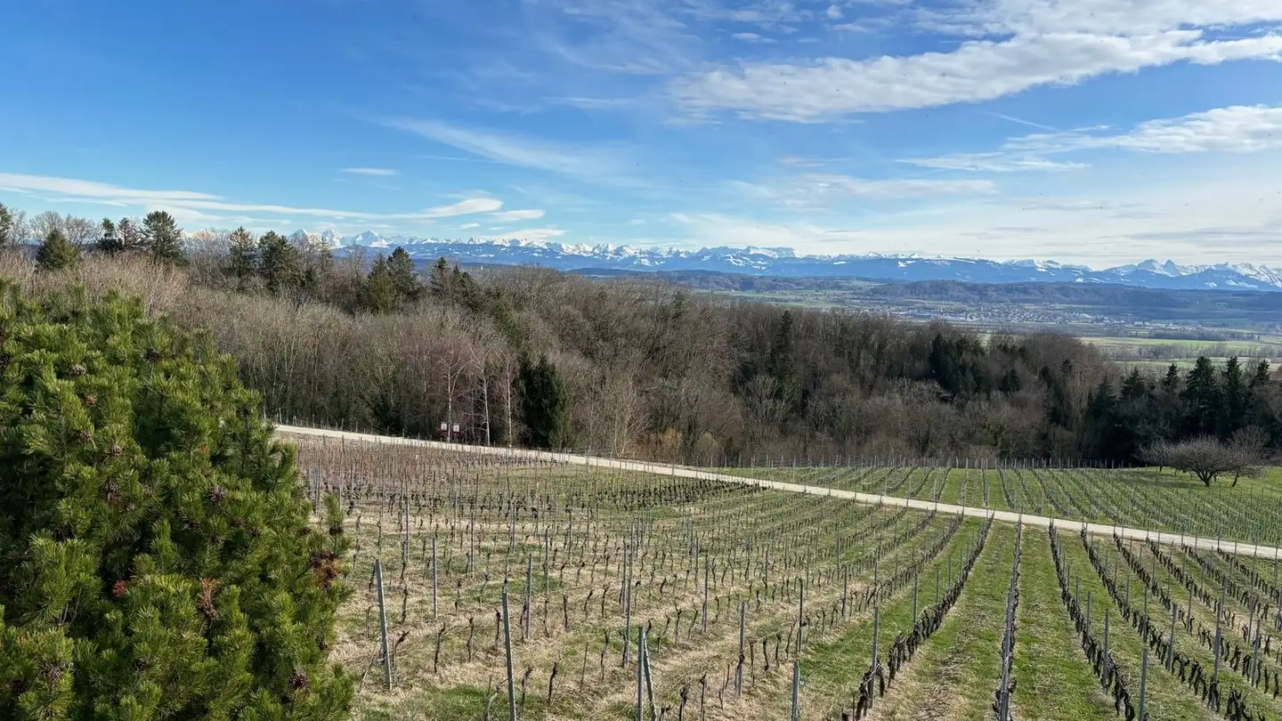 Casa singola in affitto - 1587 Montmagny - Foto 3