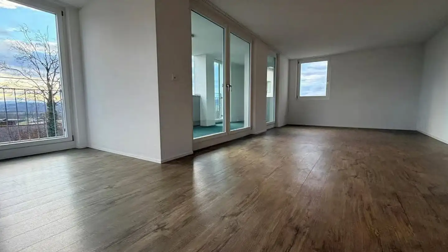 Appartement à louer - 8248 Uhwiesen