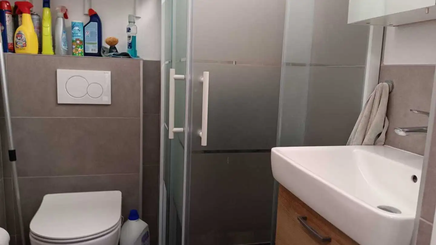 Single room for rent - Oristalstrasse, 4412 Nuglar - Photo 3