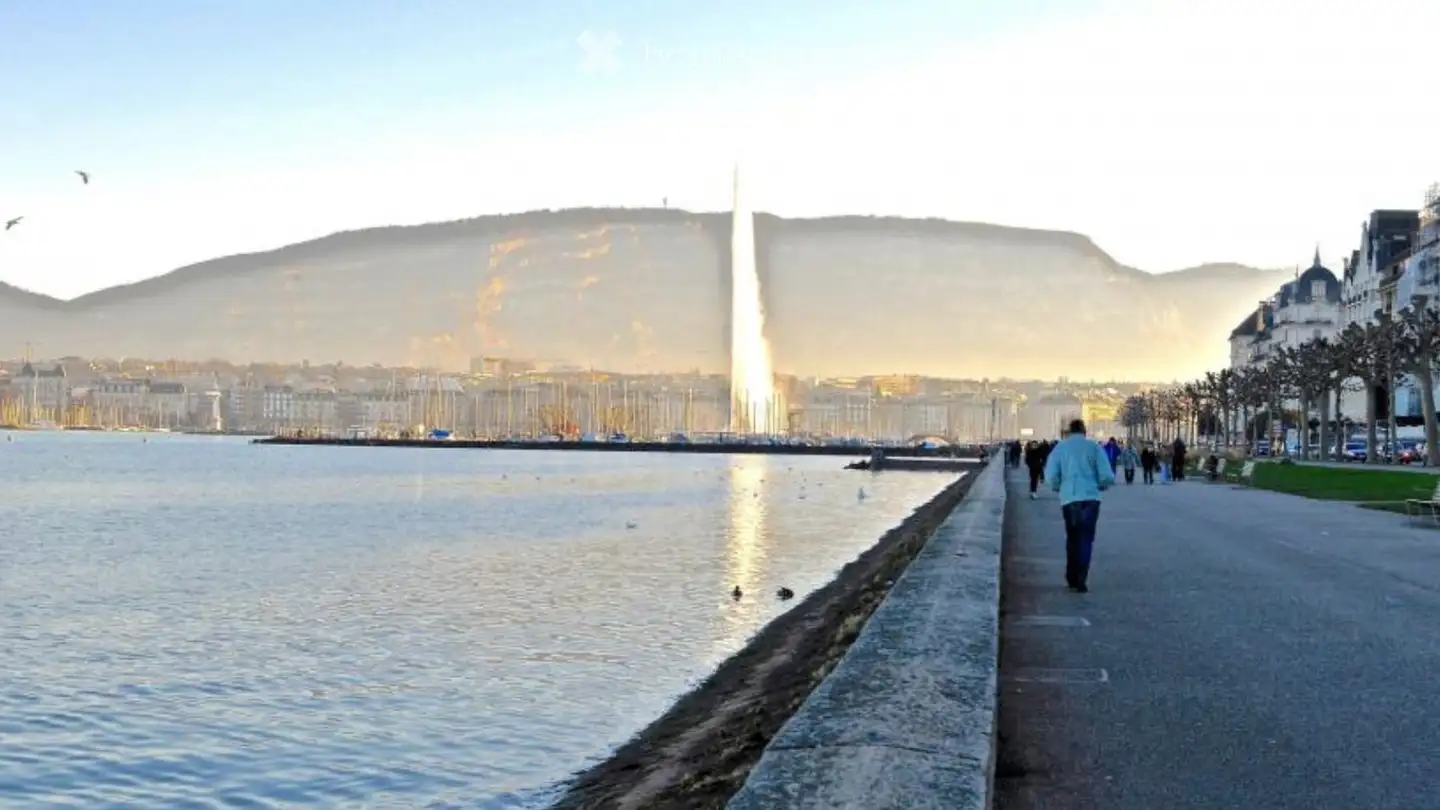 Wohnung mieten - 1201 Genève