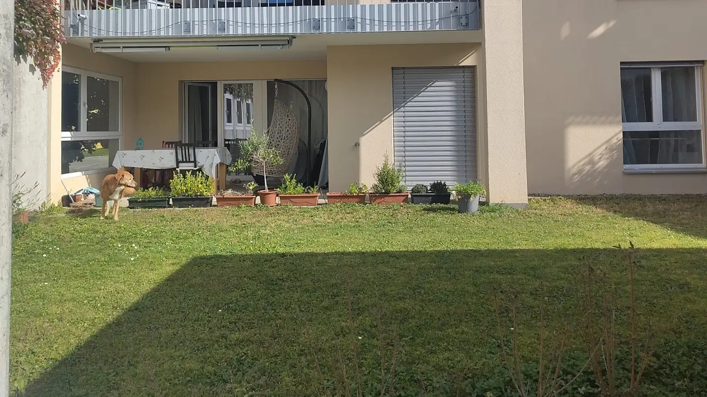 Wohnung mieten - Ebnatstrasse 56, 8200 Schaffhausen - Foto 2