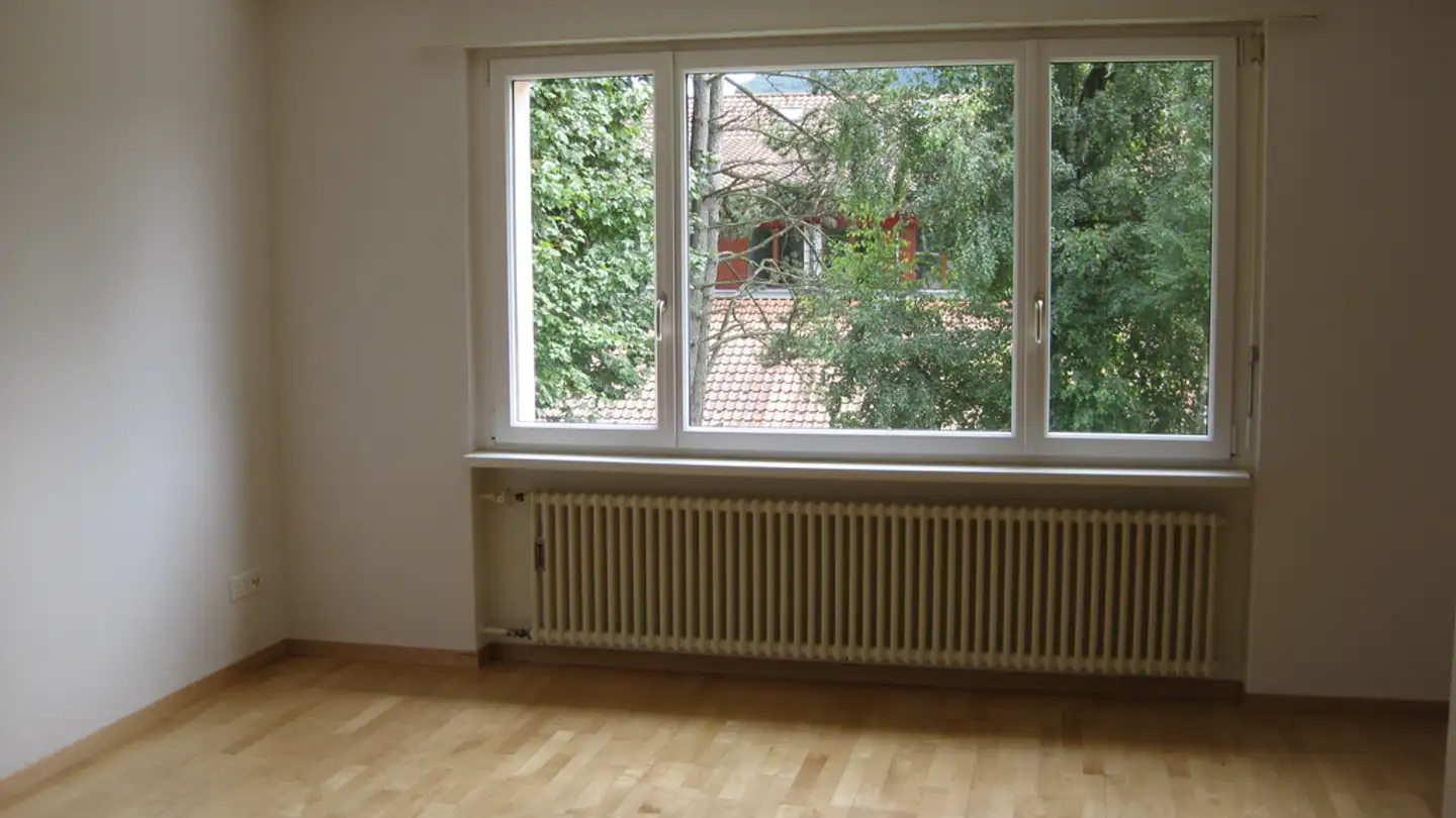 Appartamento in affitto - 5070 Frick - Photo 2