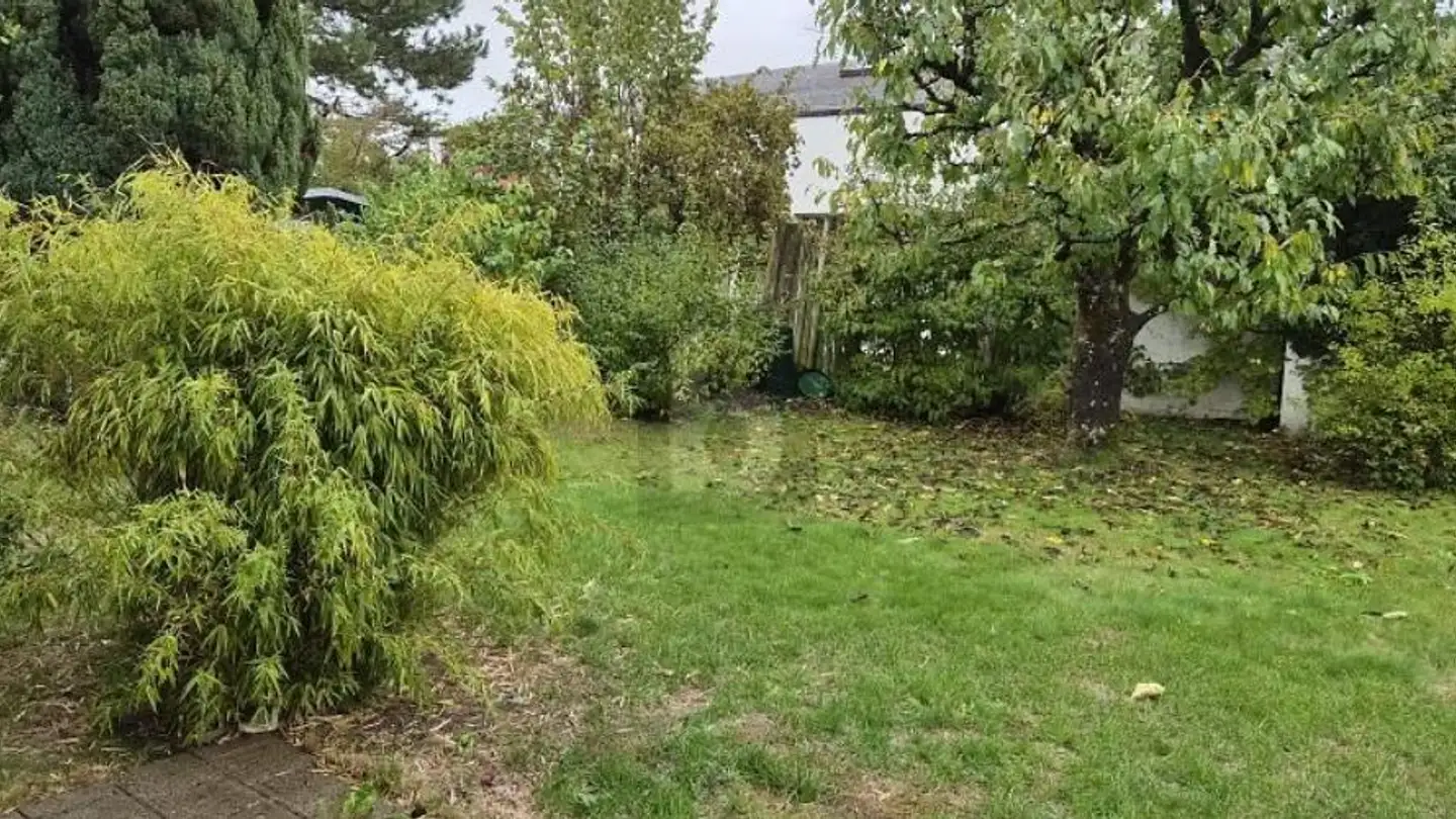 Duplex à louer - 8197 Rafz - Photo 2