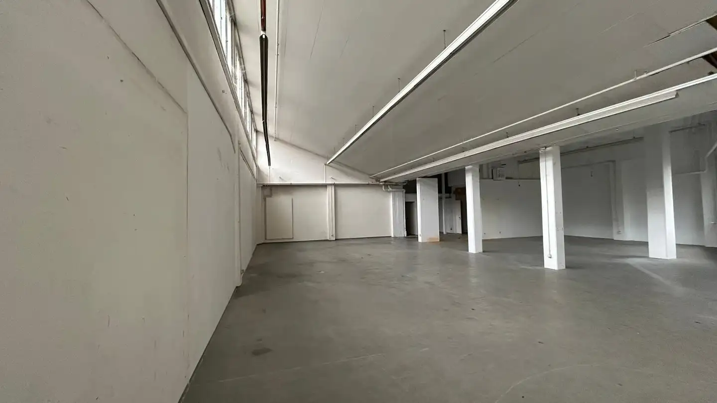 Industrial property for rent - Sankt Jakob-Strasse 170, 4132 Muttenz - Photo 3