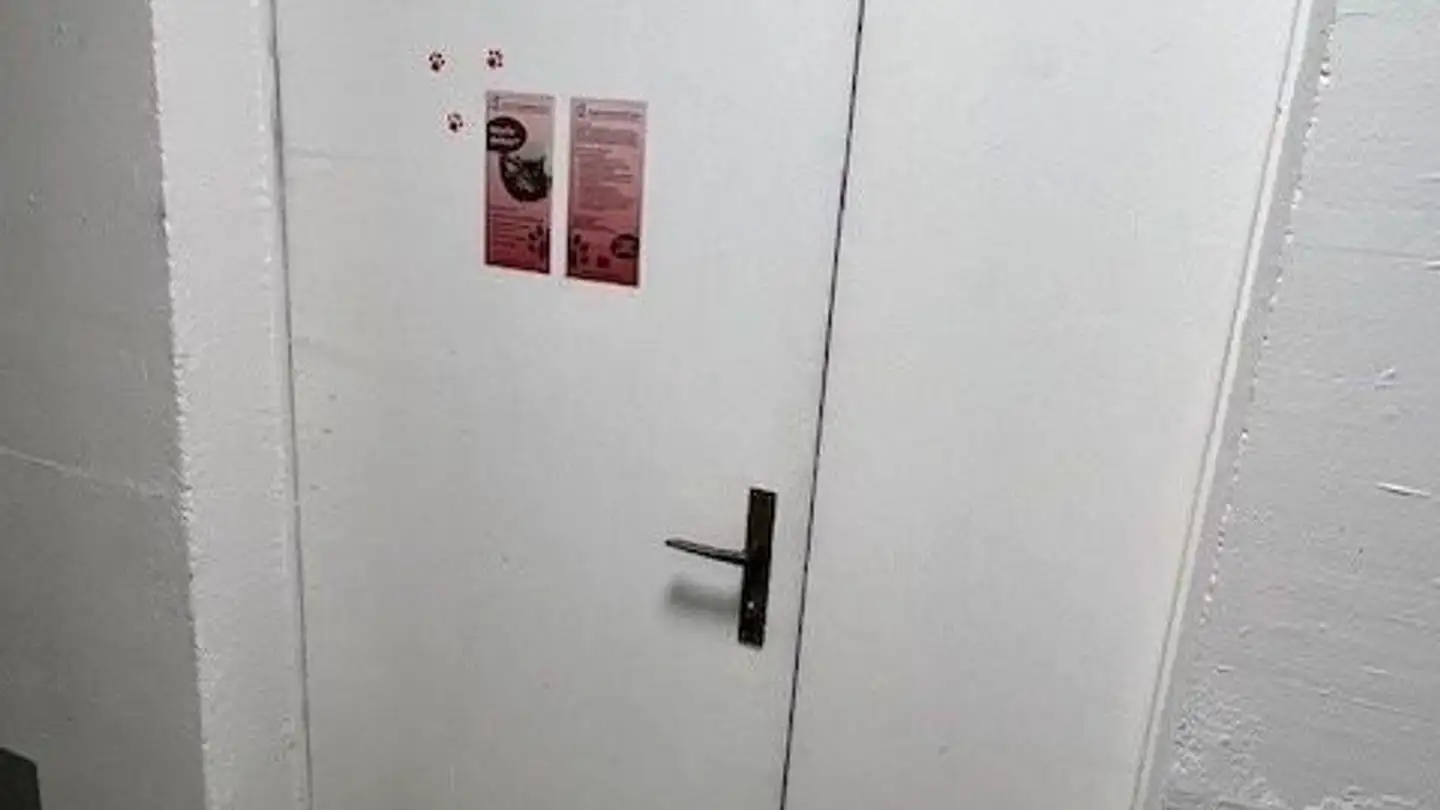 Sala hobby in affitto - Fabrikstrasse 29, 3012 Bern - Foto 3