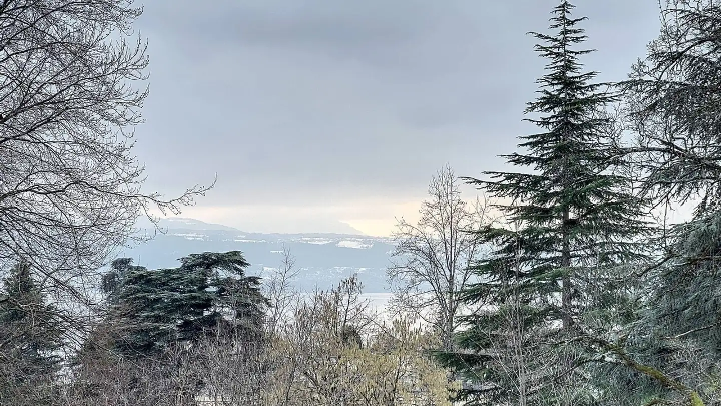 Appartement à louer - Chemin Du Manoir 1, 1009 Pully - Photo 3