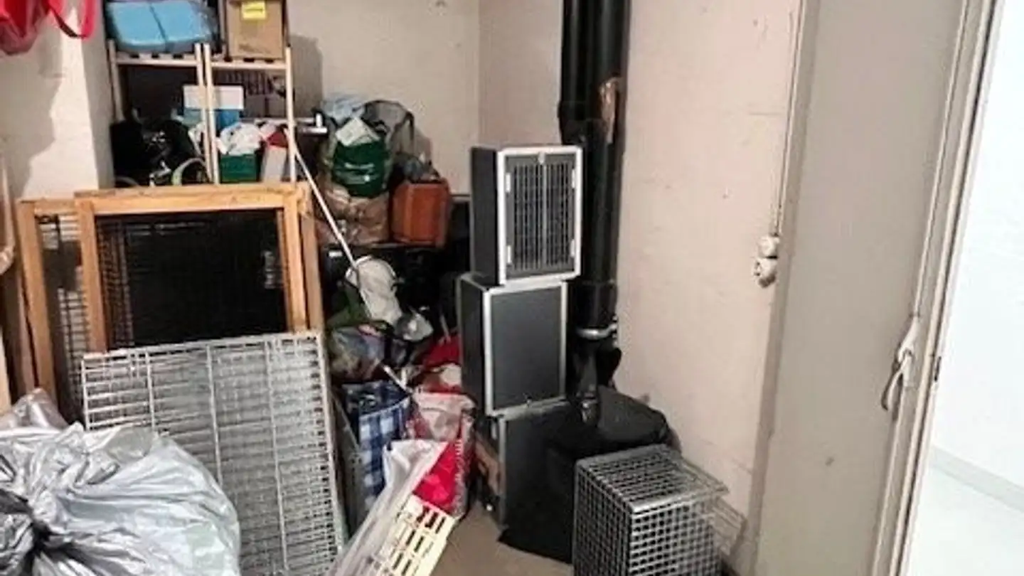 Sala hobby in affitto - Fabrikstrasse 29, 3012 Bern - Foto 4