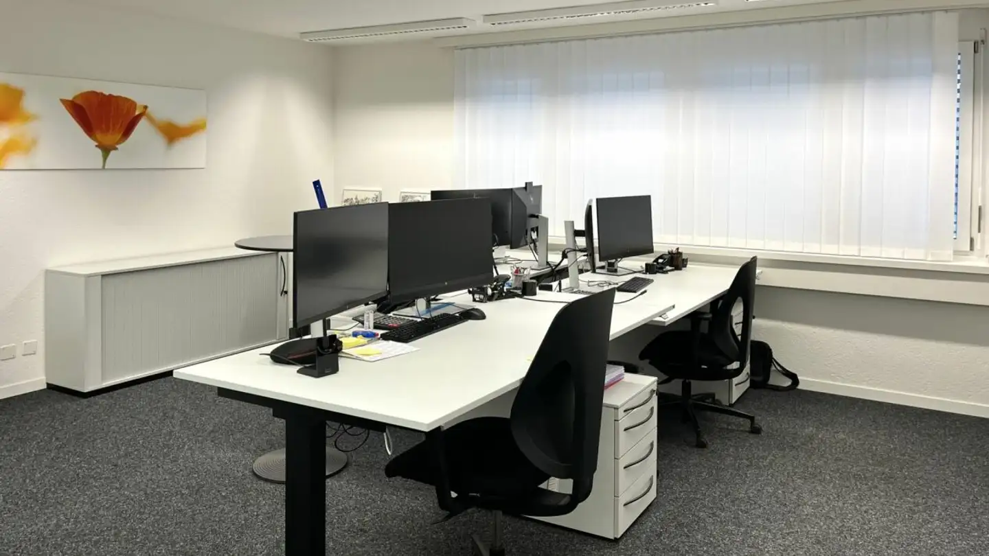 Office space for rent - Gestadeckplatz 2, 4410 Liestal - Photo 3