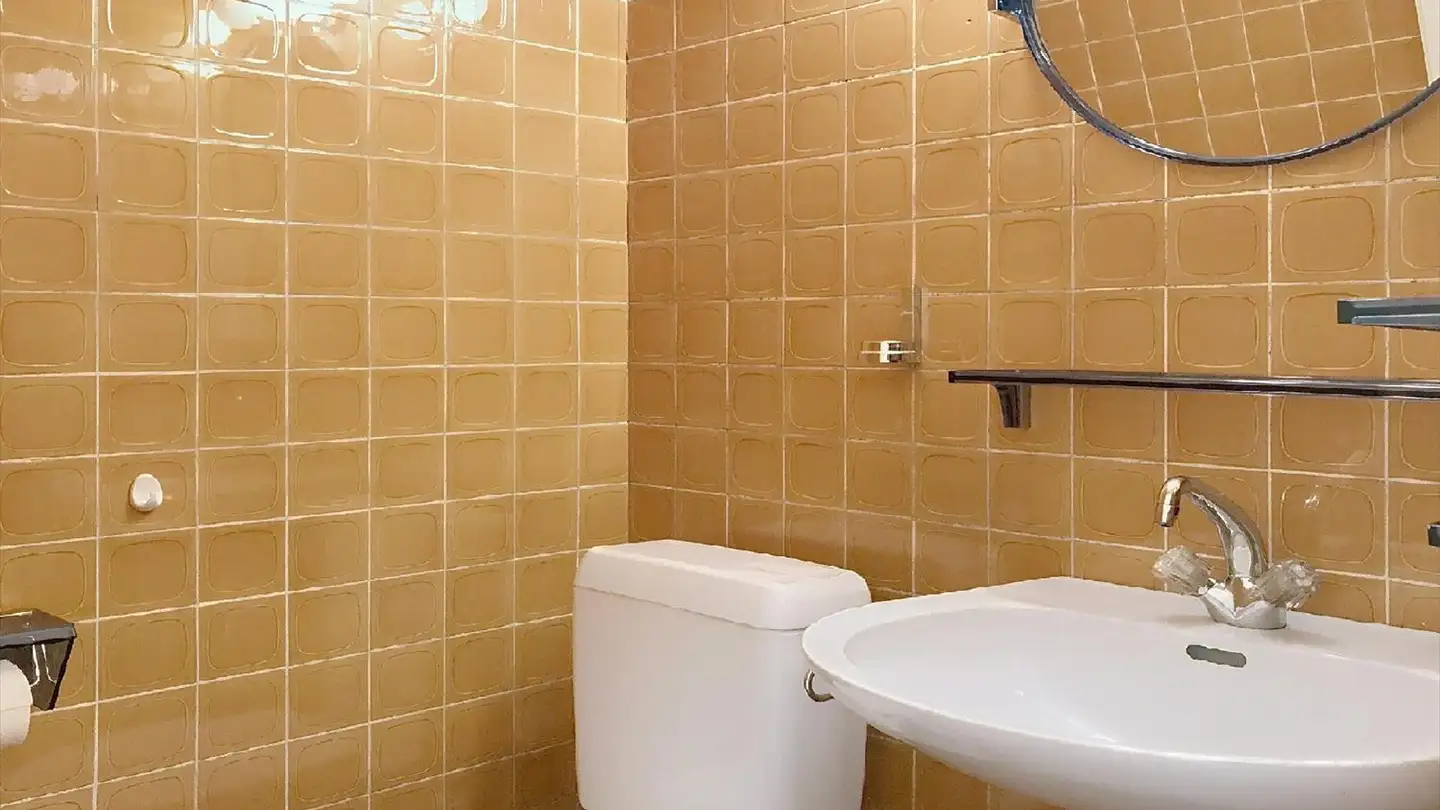 Appartamento in affitto - Grand-Montfleury 56, 1290 Versoix - Photo 4