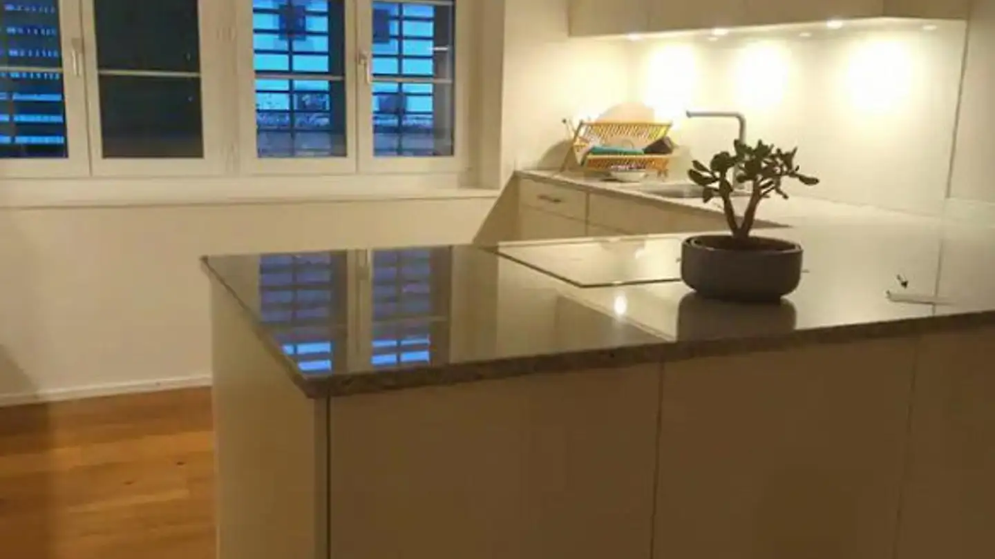 Appartamento in affitto - 8462 Rheinau