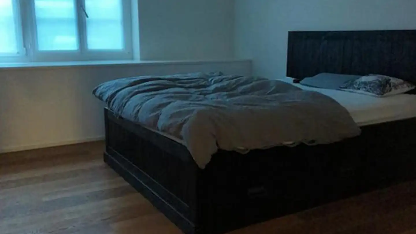 Appartamento in affitto - 8462 Rheinau - Foto 3