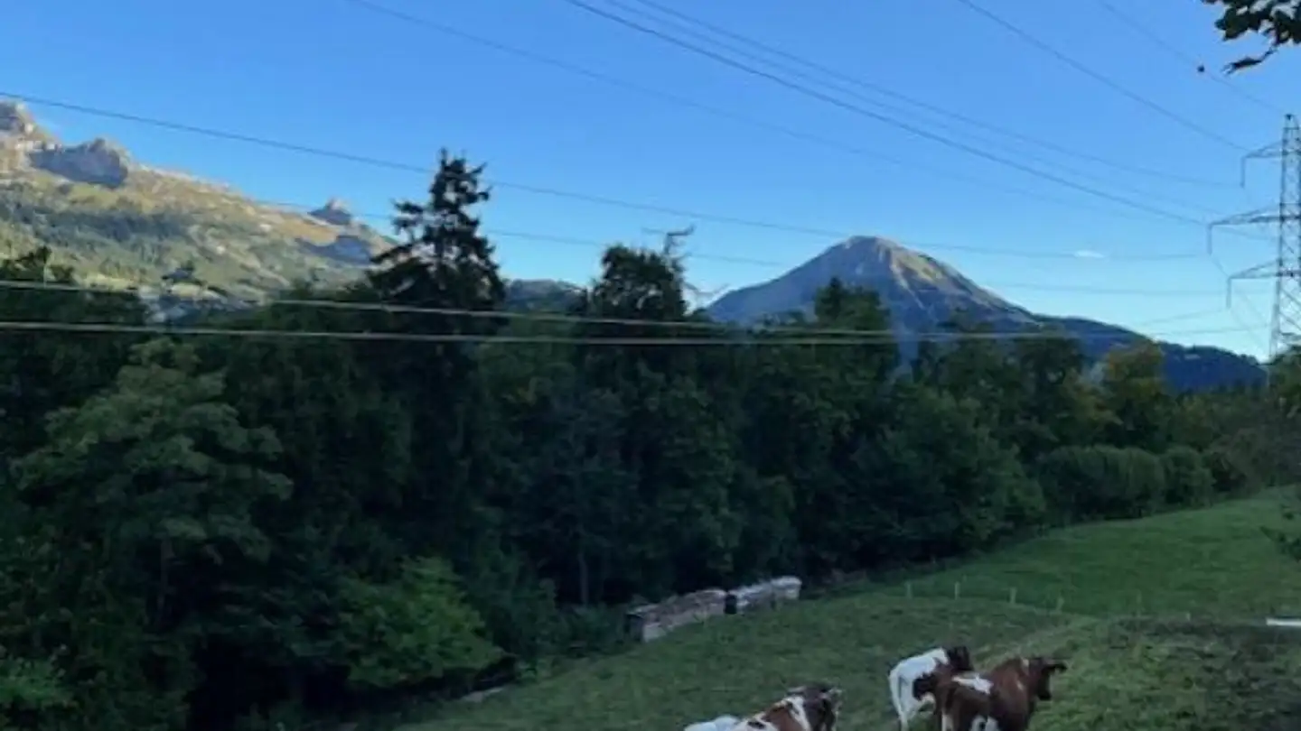 Single house for sale - 1867 Ollon VD - Photo 4