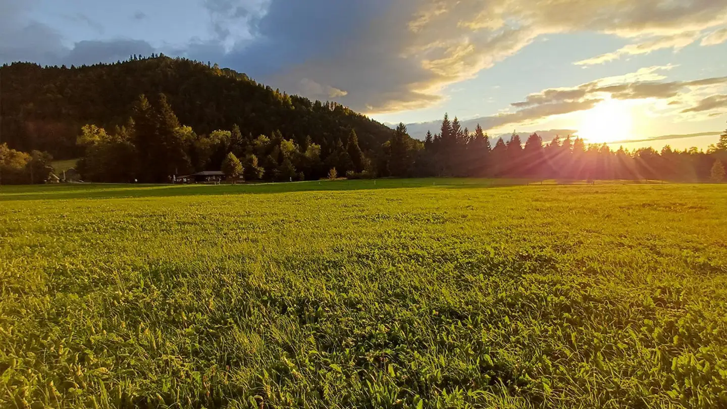 Doppelhaushälfte kaufen - Würzenmoos 6, 6013 Eigenthal - Foto 4